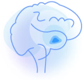 Epiphysis
