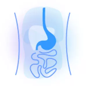 Digestive system